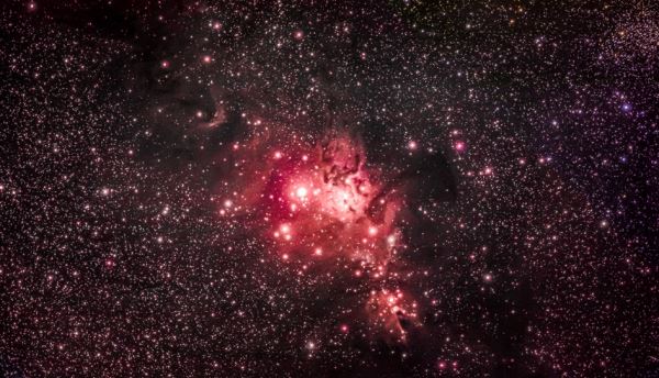 NGC 2264의 전체 영역 사진 | 화천조경철천문대 송정우, 2020