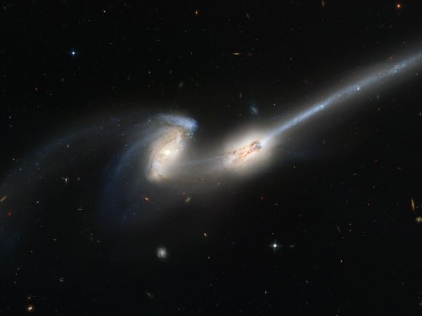 [NGC 4676A, NGC4676B / 머리털자리(Canis Major) ⓒ NASA / HST]